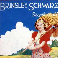 Cover-Brinsley-Despite.jpg (200x200px)